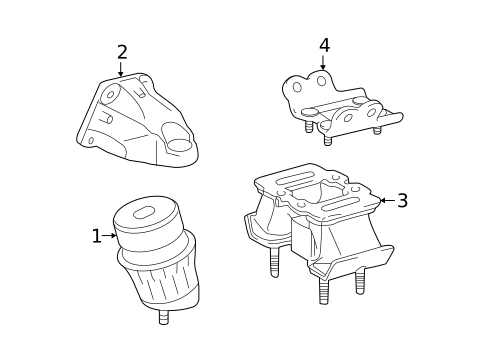 Engine & Trans Mounting for 2017 Lexus RC200t #0