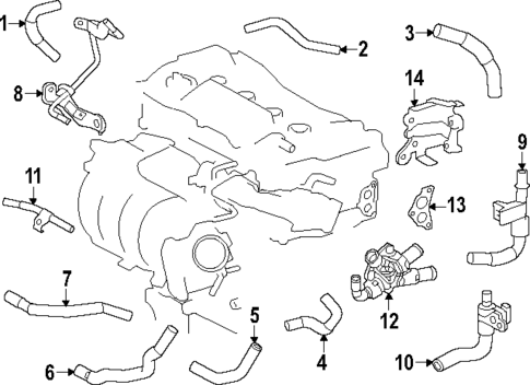 Hoses & Lines for 2024 Toyota Crown #0