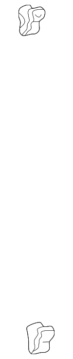 9046805047 - Body: Switch Panel Retainer for Toyota: Echo, Paseo, Sienna, Supra, Tacoma, Tercel Image