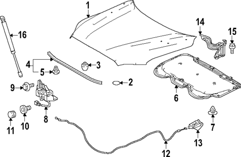 Hood & Components for 2023 Toyota Sequoia #0