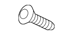 C2S11785 - Body: Motor Screw for Jaguar Image