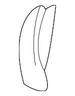 12474011 - Body: Bracket for GM Image