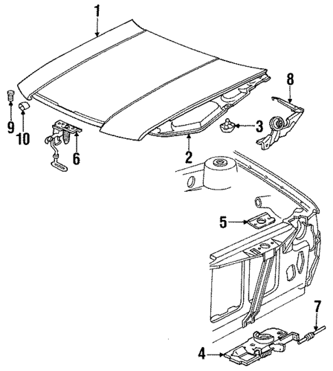 Hood & Components for 1991 Dodge Spirit #0